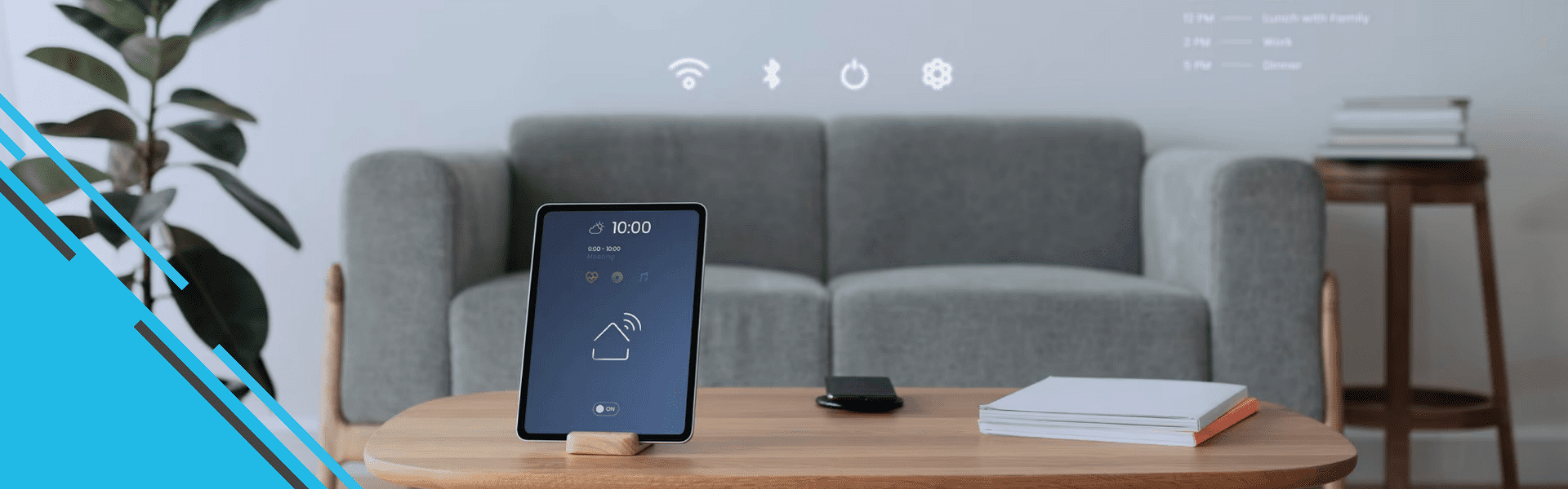 Professional Implementation